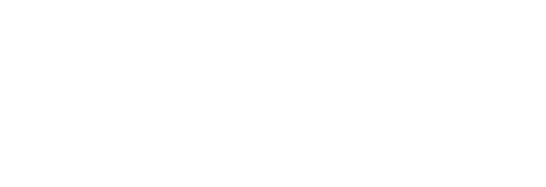Willcox Rocha Portfolio