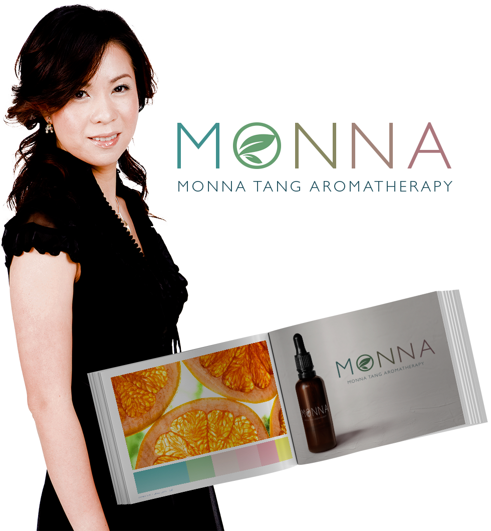 IR DFY Brand Book and Logo - Monna Tang