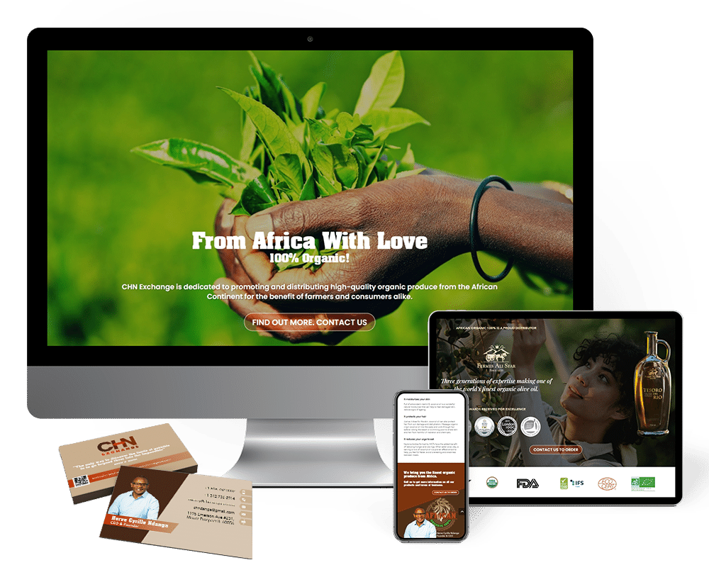 Herve Cyrille Ndanga Portfolio